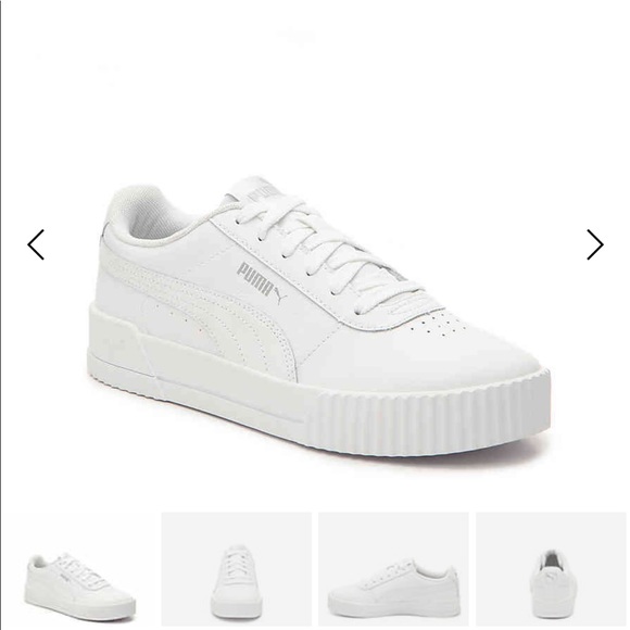 puma carina puma carina